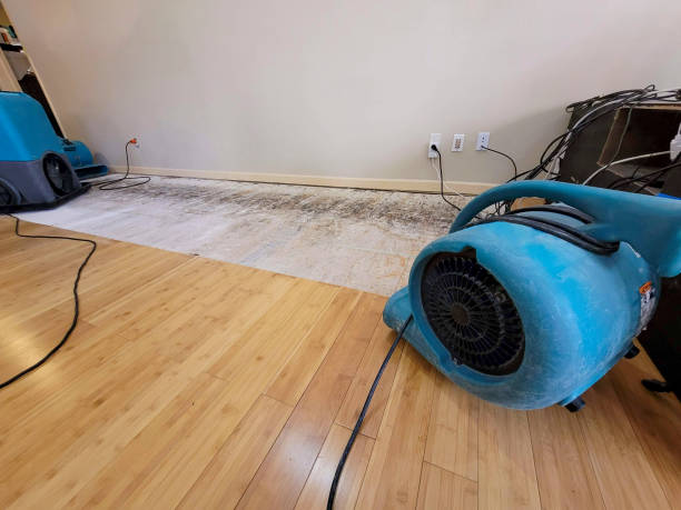 Professional Basement Flood Cleanup technician working in Peekskill, NY